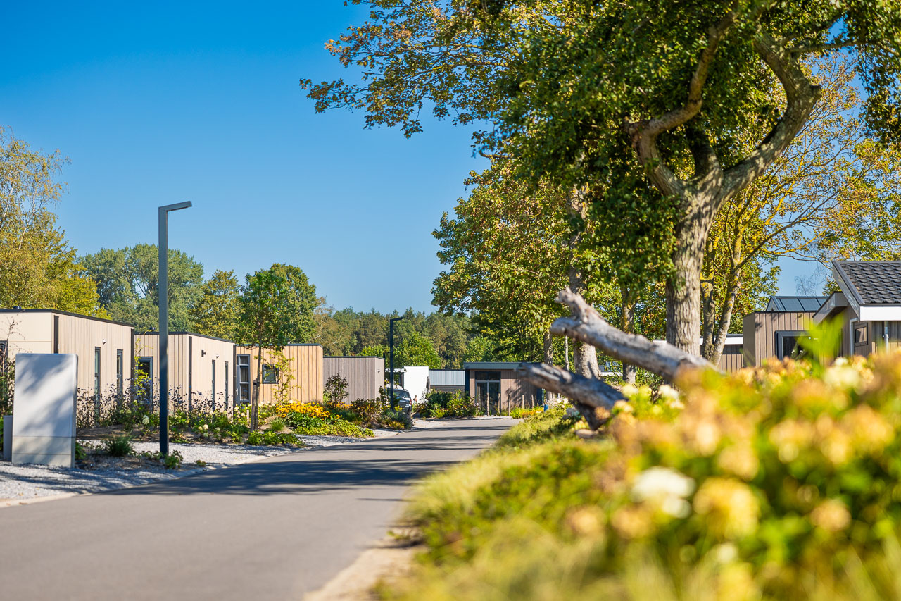 Parkstraat met bomen en vakantiewoningen